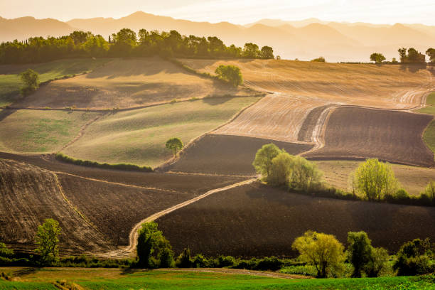 Campagna mugellana nei pressi di Galliano