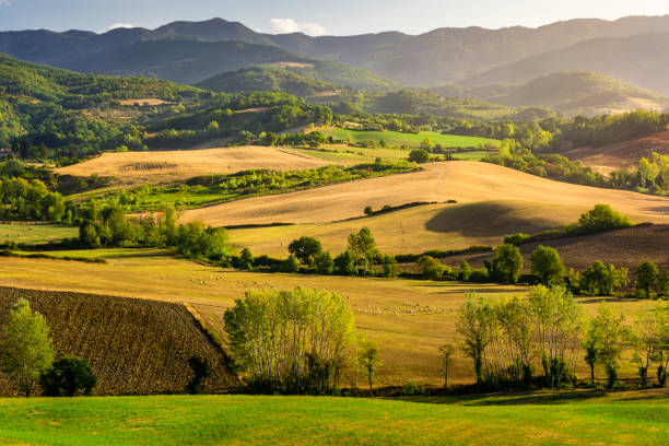 Le colline intorno a Montecarelli, frazione di Barberino